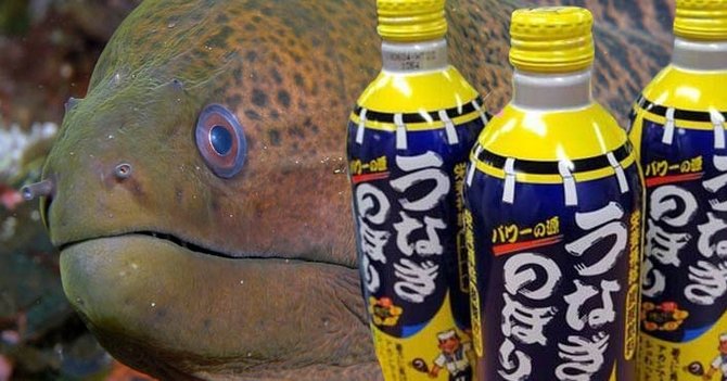 Makanan Dari Negeri Sakura